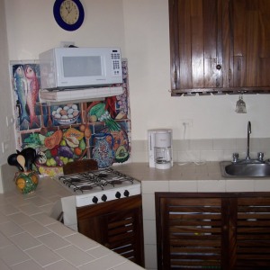 kitchen-area
